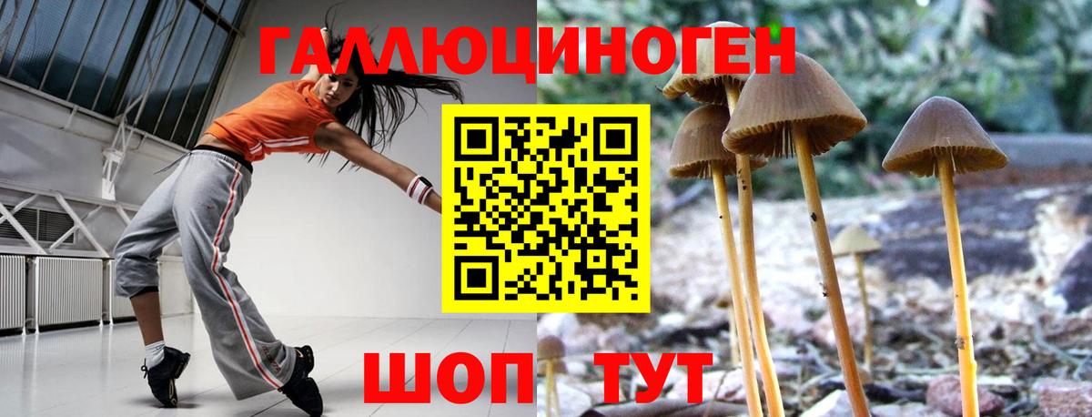 Петрозаводск  Псилоцибиновые грибы Psilocybine cubensis  Вход с VPN  Галлюциногенные грибы MAGIC MUSHROOMS 