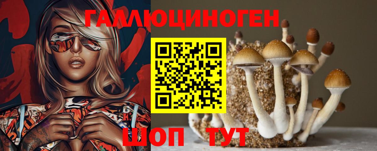 Псилоцибиновые грибы Cubensis Петрозаводск